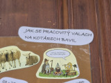 Fotogalerie Jak se pracovitý Valach na kotárech bavil..., foto č. 12