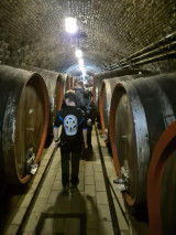 Fotogalerie Na kolech jižní Moravou s IT4. A, foto č. 6